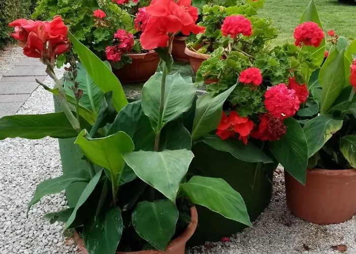 Apartment Am By Interhome *